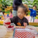 성정농장 이미지