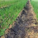 대안농장 이미지