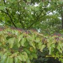 영일만온천 이미지