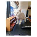 경기도 김포시 루이, 리뷰, 후기, 연락처