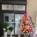 개업축하화환 49플라워 완벽 배송 문구 추천 전국꽃배달서비스