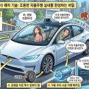자율진동