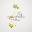 선의농원 이미지