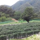 (주)두호
