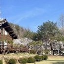 사담관광농원캠핑 이미지