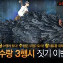 금*수
