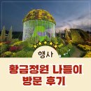 경주야경 가볼만한곳 2024 황금정원 나들이 후기 내년에 또 만나요~