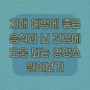 치매예방을 위한 뇌건강 레시피 | 치매 예방에 좋은 음식과 뇌 건강에 도움 되는 영양소 알아보기