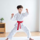 팰리스 태권도장 이미지