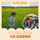 구리 유채꽃축제, 노랗게 물든 구리한강시민공원
