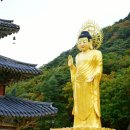 속리산 법주사 이미지