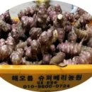 청정해오름