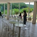 느티나무농원 이미지