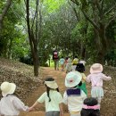 유아숲체험원(2) 이미지