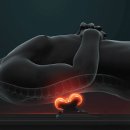 세라메디칼의료기기 이미지