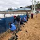 아동1통 이미지