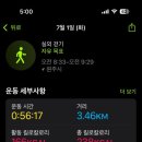 요가(주간) 이미지