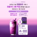 요거트퍼플 이미지