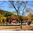 대구수목원 이미지