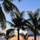 호텔더비 이미지