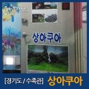 도도노래연습장 | [경기도수족관] 상아쿠아 방문후기
