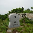 조약도 흑염소