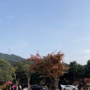 김원장캠핑 이미지