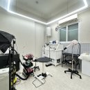 뽀송그루밍 이미지