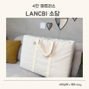 비소담