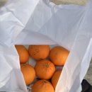 순애농장 이미지