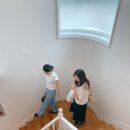 소중한 댕 이미지