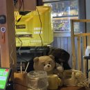 대동문구 | 구월동 로데오 술집 대동집 인천구월점 한식 안주 푸짐했던 후기