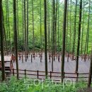 (주)장수산업개발 투어코리아