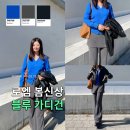 을-090 | 로엠 가디건 출근룩 후기 | 올봄 여자 봄옷 블루 컬러 어때?