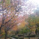 동남공원 이미지