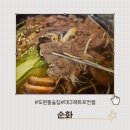 순화순수하게화려하게