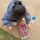 사상근린공원 Daum카페