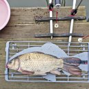 사계절 낚시터 | 강화도 길정YB낚시터 붕어 손맛 끝판왕 방갈로 후기 아내와 강화 나들이