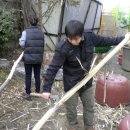 나무와꿈어린이집 이미지