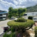 백조막국수 이미지