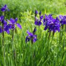 행정사법인 청효 이미지