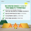 횡성 별빛마을 캠핑장 이미지