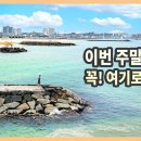 지금 꼭 가봐야 할 동해의 낭만 여행지 강원도 강릉 착한 여행 / 정동진 해변, 경호포, 경포대, 선교장, 안목 해변 커피거리, 주문진 이미지