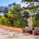 부산해양경찰서 청학출장소 이미지