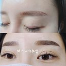 에스더의눈썹