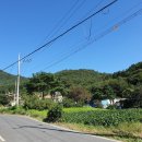 김경수농장 이미지