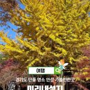 미리내은하수화장실 | 11월 경기도 단풍 명소 안성 가볼만한곳 드라이브 추천 미리내성지