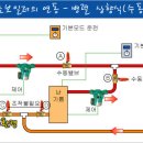 화목보일러와 기름(경유나 가스 등 기타)보일러의 연동에 대하여 이미지