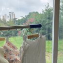 파인항균세탁 이미지