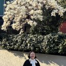 온라인(저녁)쉽고 재미있는 데일리 드로잉(기초) | Chouli Of Sparkle Loz 츌리 일상 , 3월의 소식 1부